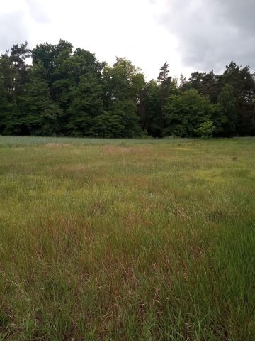 Działka budowlana Sieradz, ul. Wilcza. Zdjęcie 1