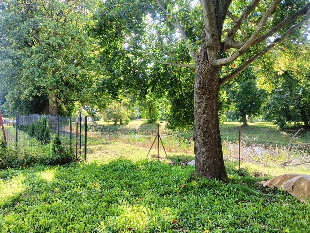 dom wolnostojący Gajewo. Zdjęcie 7