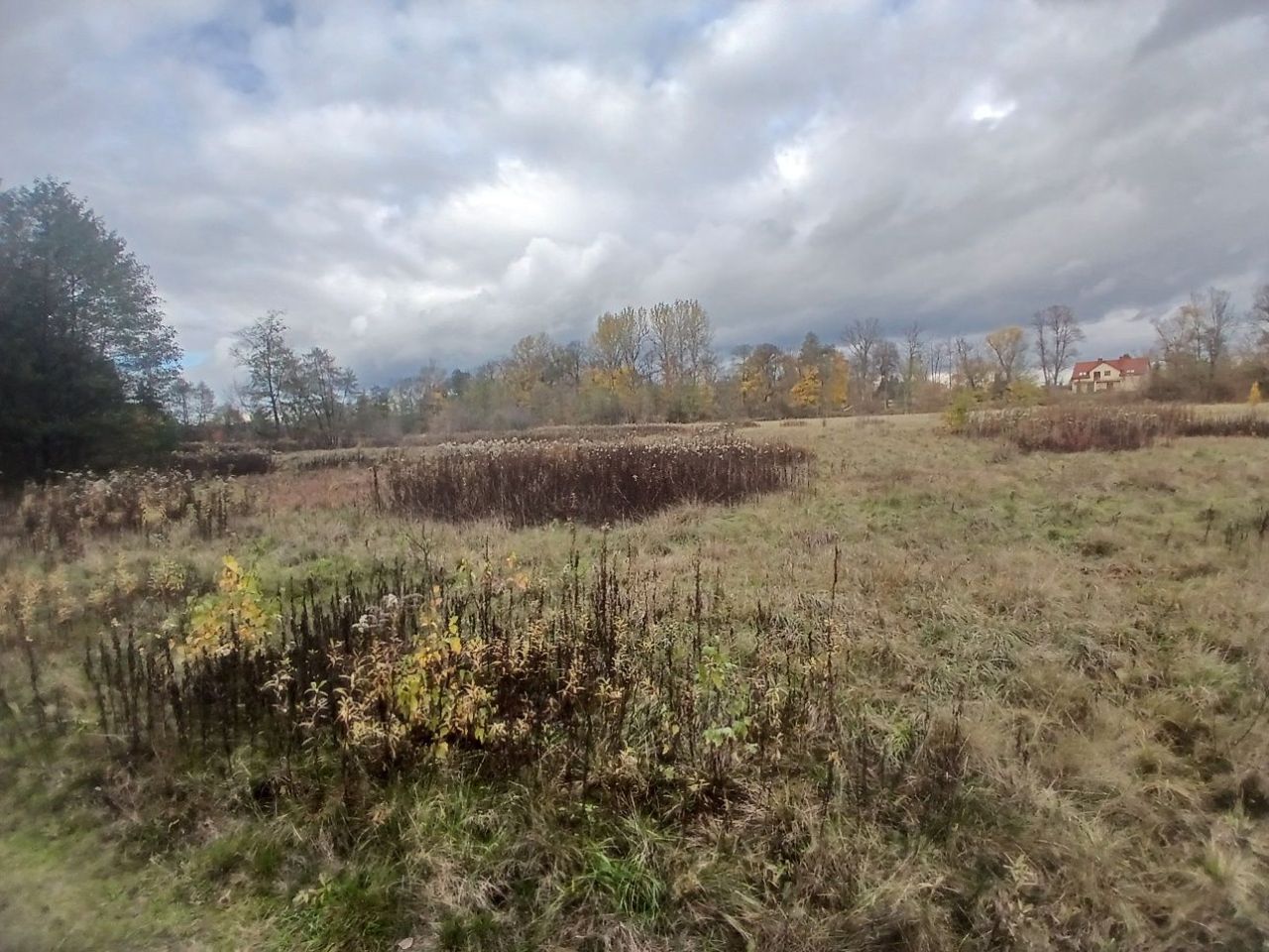 Działka rolno-budowlana Dobrzyniec. Zdjęcie 2