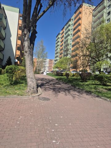 Mieszkanie 3-pokojowe Sosnowiec Stary Sosnowiec, ul. Harcerska. Zdjęcie 1