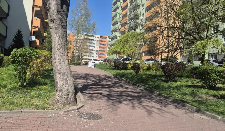 Mieszkanie 3-pokojowe Sosnowiec Stary Sosnowiec, ul. Harcerska