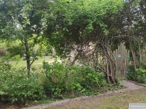 Działka rod Kraków Płaszów, ul. Golikówka. Zdjęcie 1