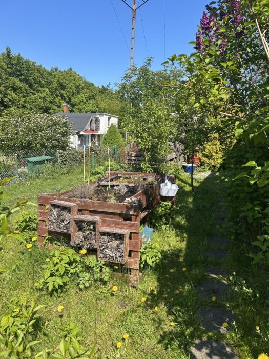 Działka rod Gdynia Mały Kack, ul. Grodnieńska. Zdjęcie 9