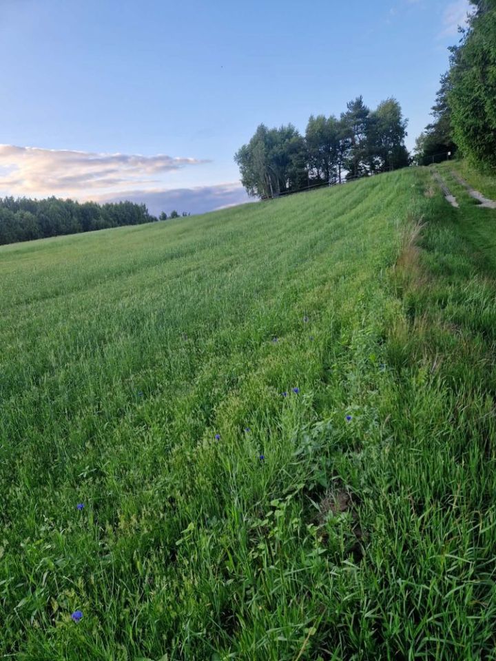 Działka budowlana Piechowice. Zdjęcie 3