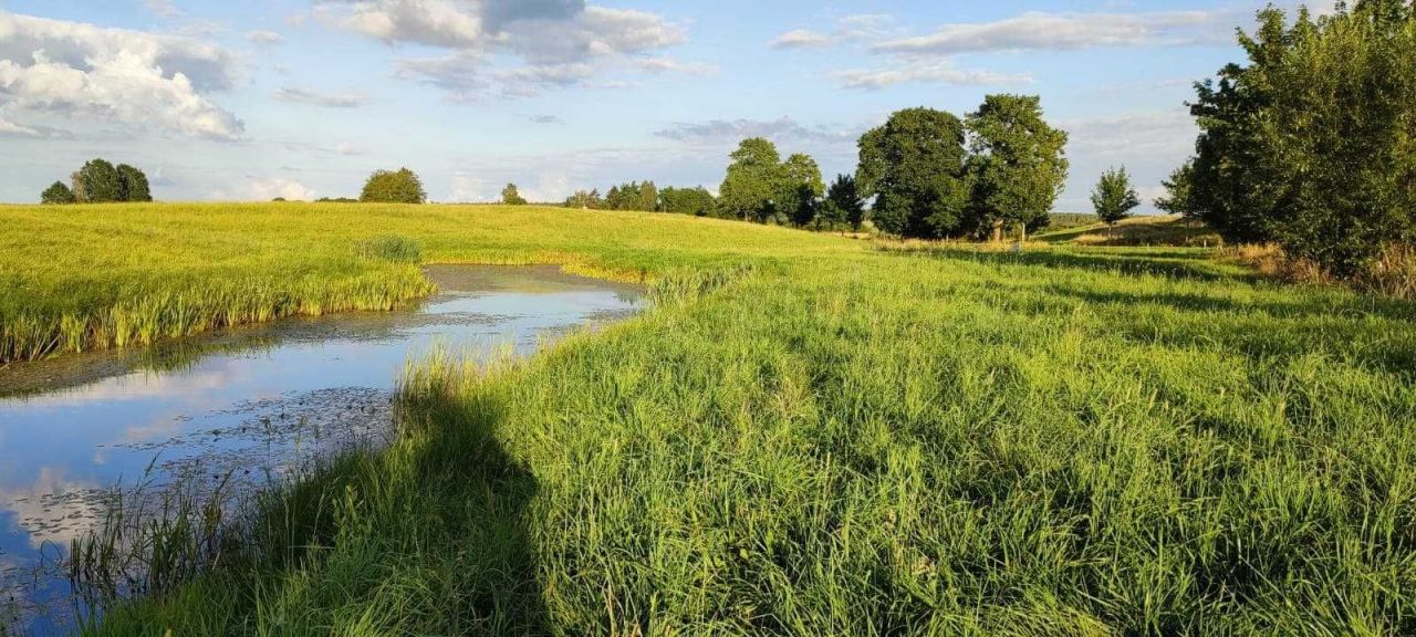 Działka budowlana Liwa. Zdjęcie 6