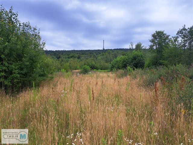 Działka siedliskowa Nowa Słupia. Zdjęcie 3