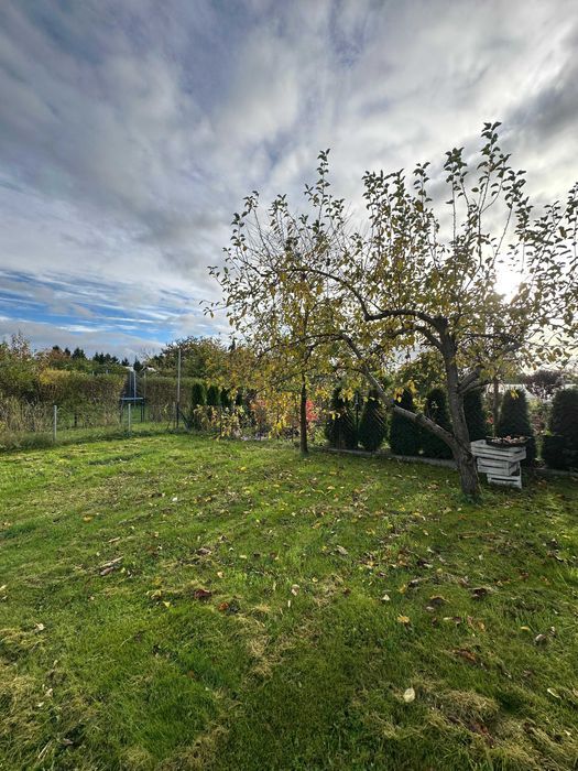 Działka rod Koszalin. Zdjęcie 3