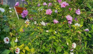 Działka rekreacyjna Gdańsk Oliwa, Subisława