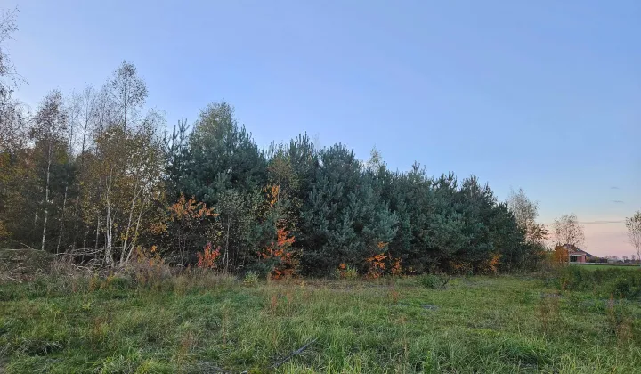 Działka budowlana Lubliniec, ul. Fiołkowa