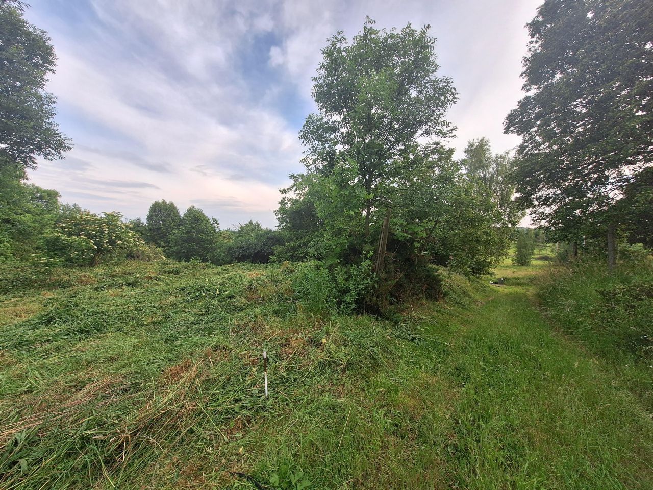 Działka siedliskowa Radostów Górny. Zdjęcie 7