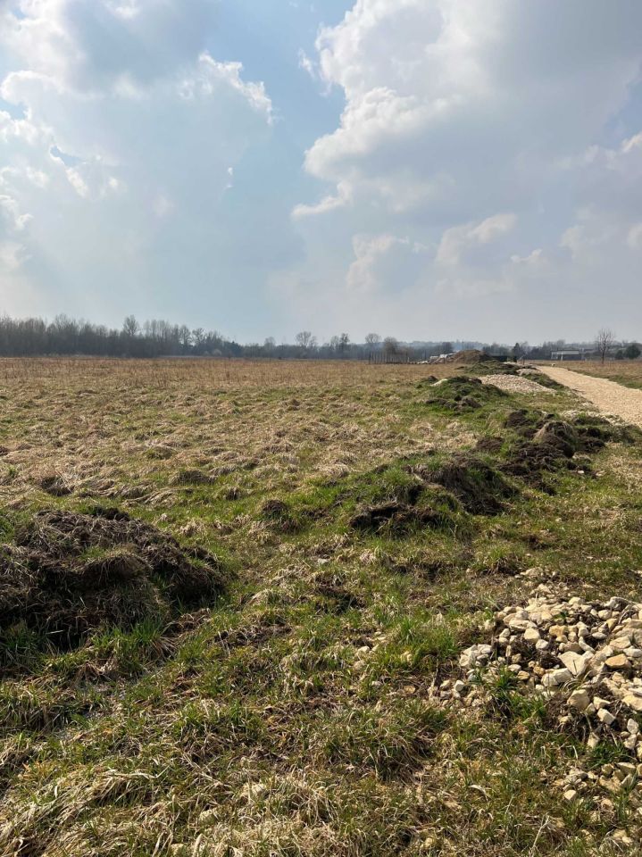 Działka budowlana Przeczyce, ul. Łabędzia. Zdjęcie 3