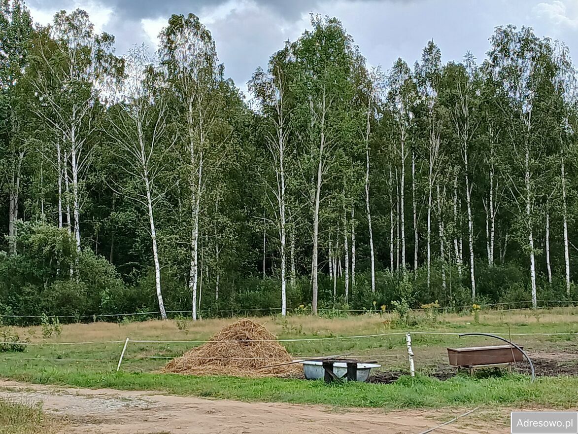 dom wolnostojący, 2 pokoje Gródek. Zdjęcie 3