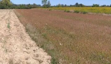 Działka rolno-budowlana Pilchów, ul. Folwarczna