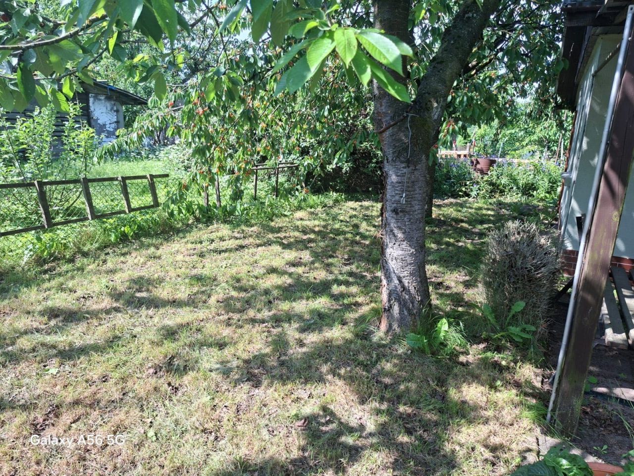 Działka rod Stargard, ul. Grudziądzka. Zdjęcie 4