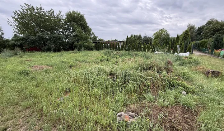 Działka rod Janikowo, ul. Działkowa