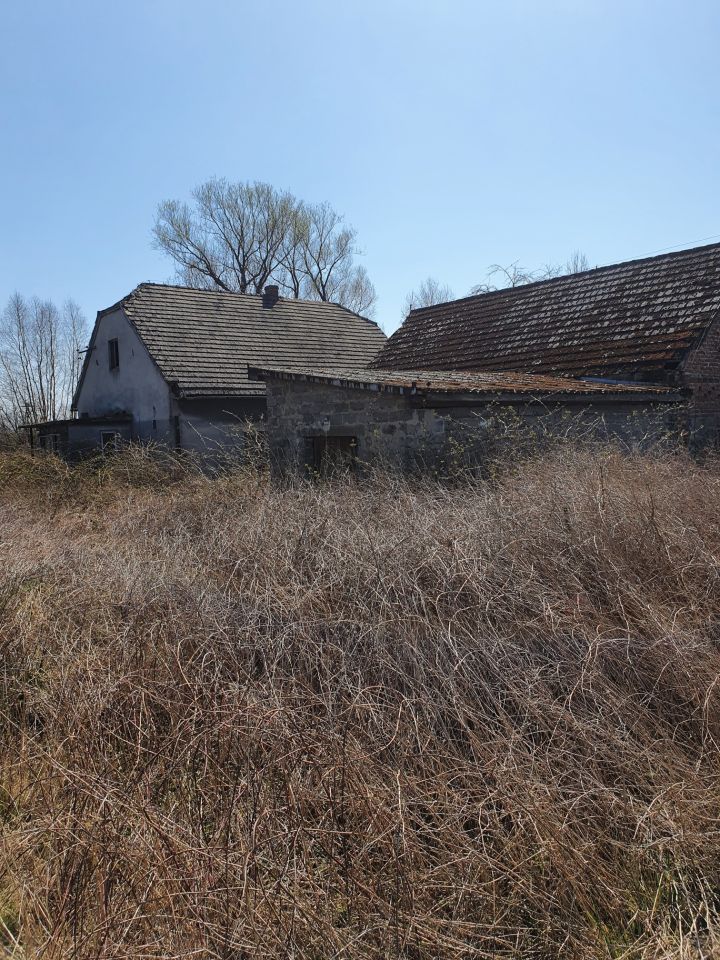 dom wolnostojący, 3 pokoje Okleśna. Zdjęcie 4