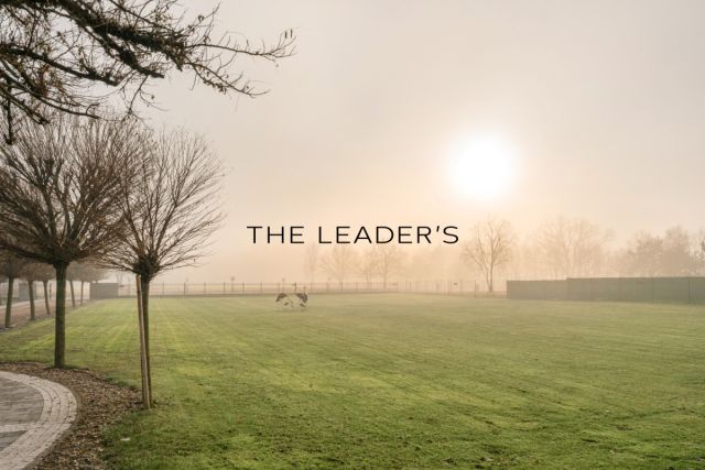 dom wolnostojący, 8 pokoi Kampinos. Zdjęcie 25