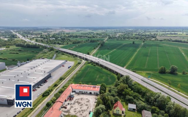 Hala/magazyn Elbląg Zawodzie, ul. Żuławska. Zdjęcie 13