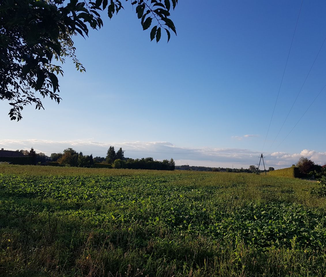 Działka budowlana Ćwiklice, ul. Owocowa. Zdjęcie 5