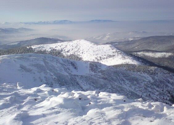 Działka budowlana Trojanowice, ul. Widokowa. Zdjęcie 21