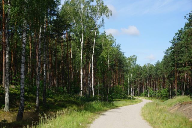 Działka budowlana Osieck Kąciki. Zdjęcie 1