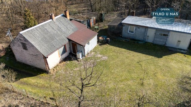 Działka siedliskowa Strobin. Zdjęcie 9