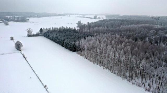 Działka leśna Harsz. Zdjęcie 7