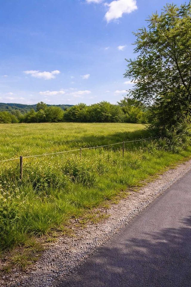 Działka rekreacyjna Myscowa. Zdjęcie 2