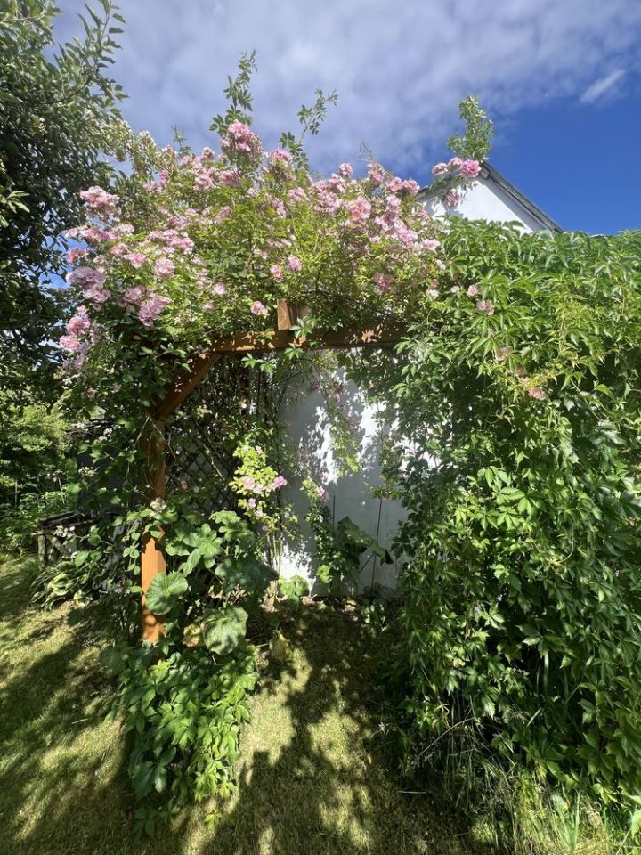 Działka rod Bełchatów, ul. Cegielniana. Zdjęcie 5