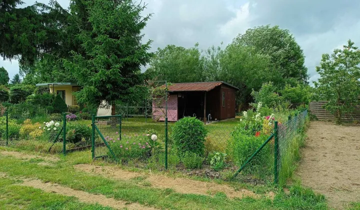 Działka rod Łódź Bałuty, ul. Krecia