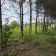 Działka budowlana Zawiercie Wydra Zielona, ul. Winna. Zdjęcie 7