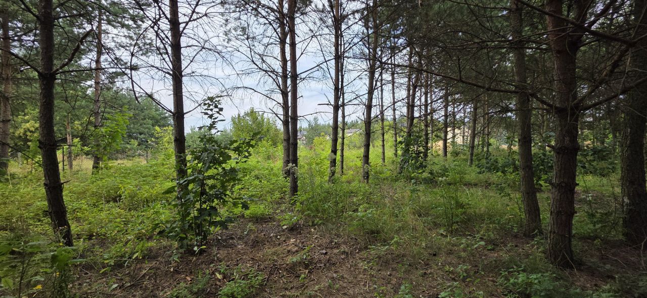 Działka budowlana Zawiercie Wydra Zielona, ul. Winna. Zdjęcie 7