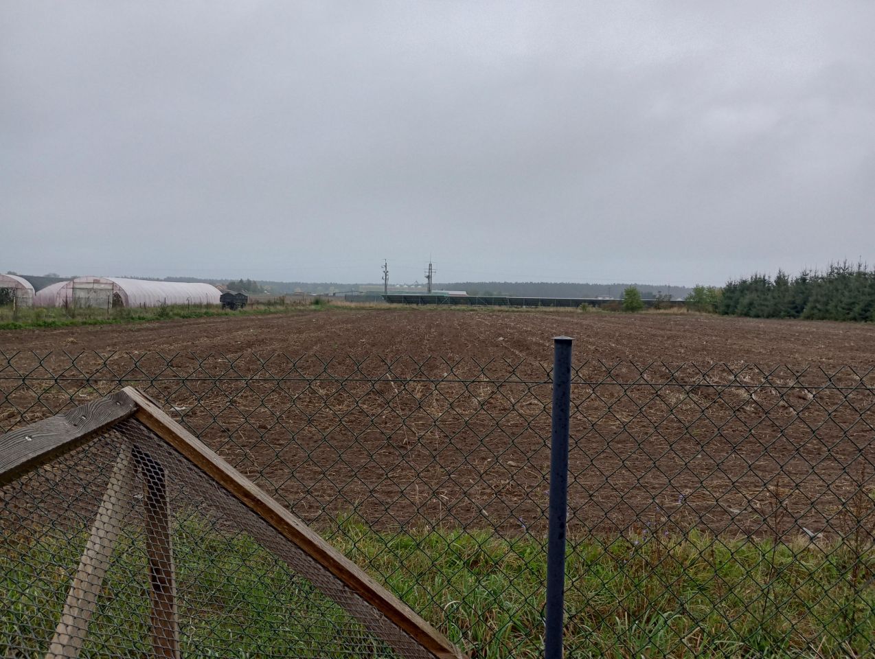 Działka rolna Rzeczyca, ul. Prezydenta Ignacego Mościckiego. Zdjęcie 3