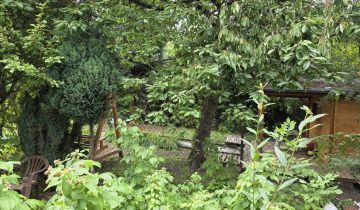 Działka rod Gliwice Trynek, ul. Feliksa Orlickiego