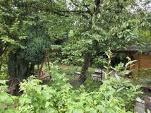 Działka rod Gliwice Trynek, ul. Feliksa Orlickiego. Zdjęcie 1