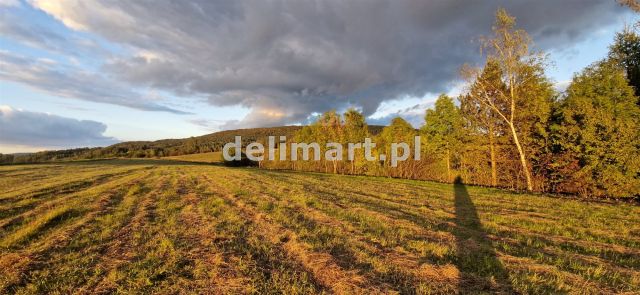 Działka budowlana Srogów Dolny. Zdjęcie 3