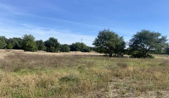 Działka rolno-budowlana Goreń Duży, ul. Jaśminowa