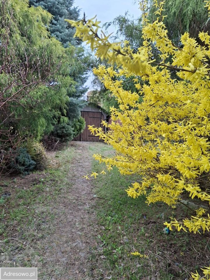 Mieszkanie 2-pokojowe Jaworzno, ul. Wojciecha Bogusławskiego. Zdjęcie 17