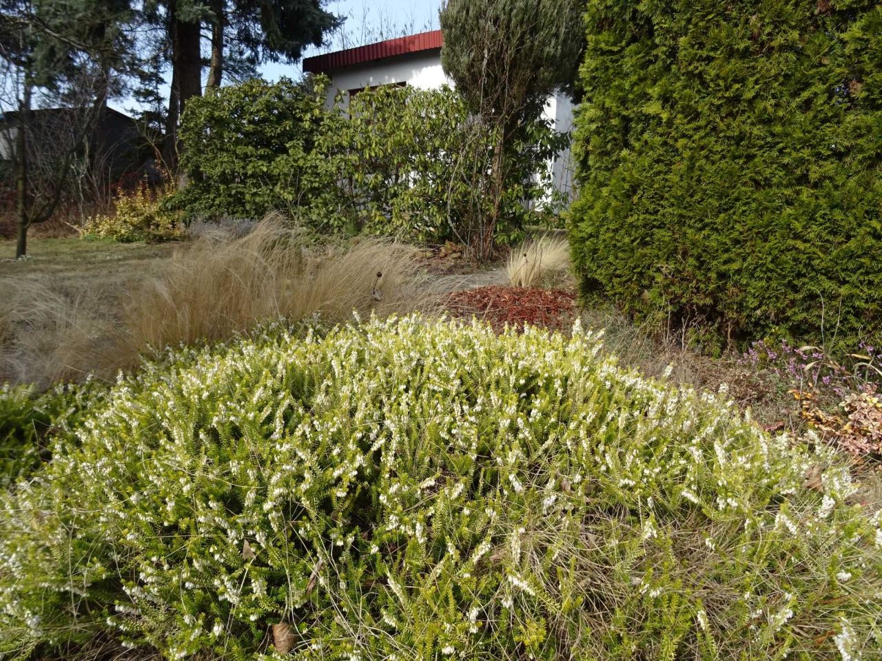 Działka rod Częstochowa Północ, ul. Ugody. Zdjęcie 7