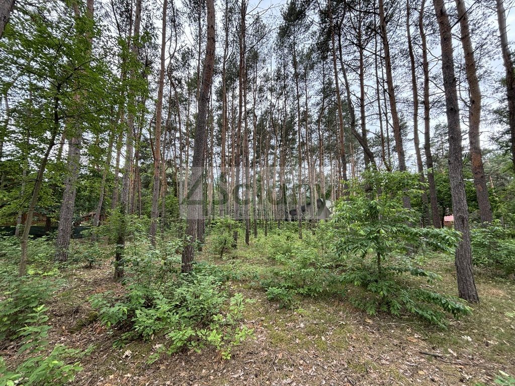 Działka budowlana Stare Załubice. Zdjęcie 4