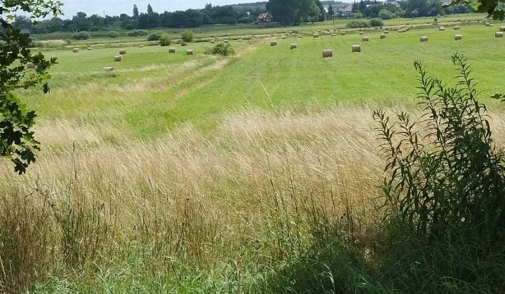 Działka budowlana Roztocze