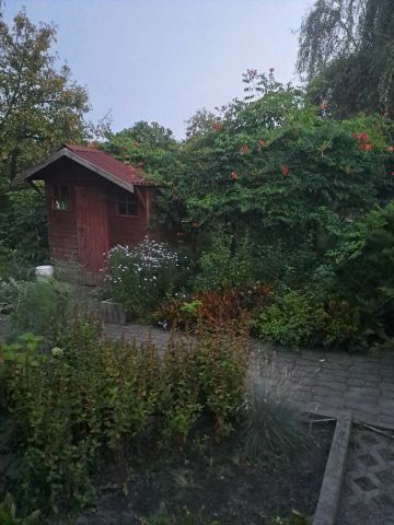 Działka rekreacyjna Gliwice Trynek. Zdjęcie 1