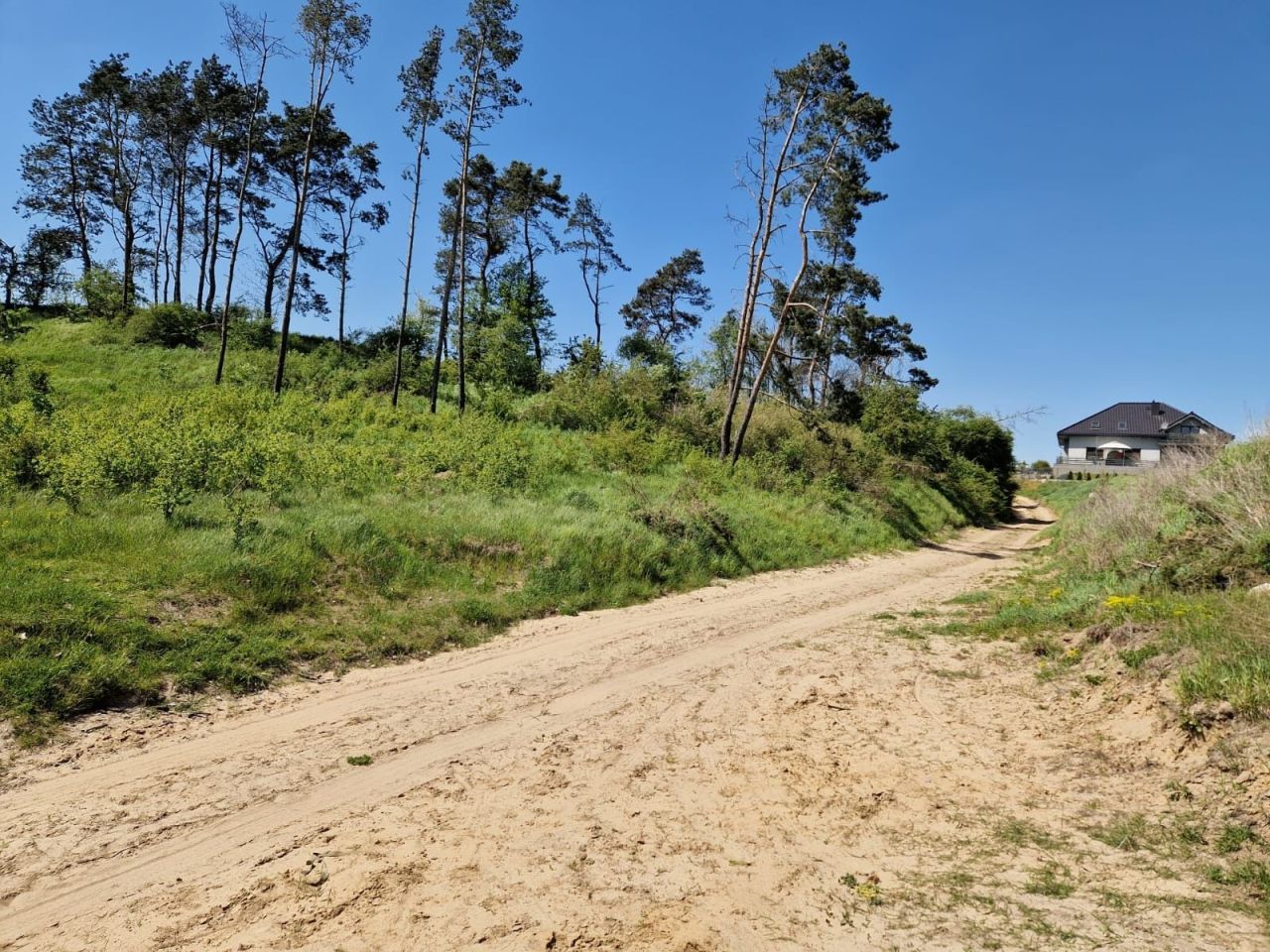 Działka leśna Nakło nad Notecią. Zdjęcie 4