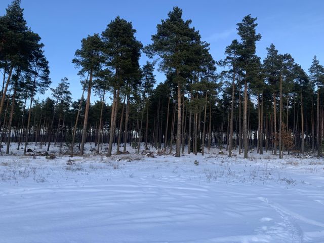 dom wolnostojący, 8 pokoi Rytel, ul. Polna. Zdjęcie 12