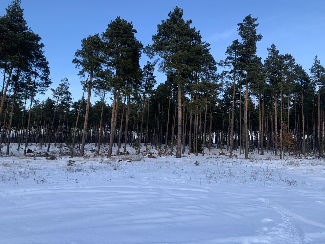 dom wolnostojący, 8 pokoi Rytel, ul. Polna. Zdjęcie 12