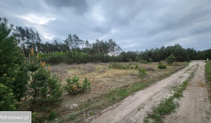 Działka budowlana Zarośle Cienkie