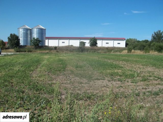 Działka budowlana Strzeganowice, ul. Złota. Zdjęcie 2