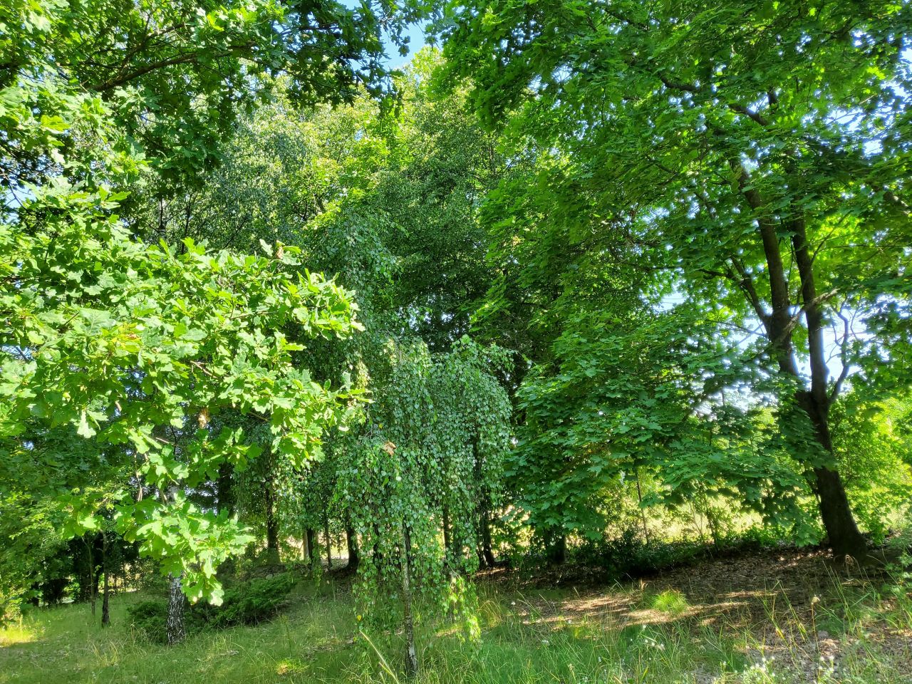 Działka budowlana Cieńsza. Zdjęcie 37