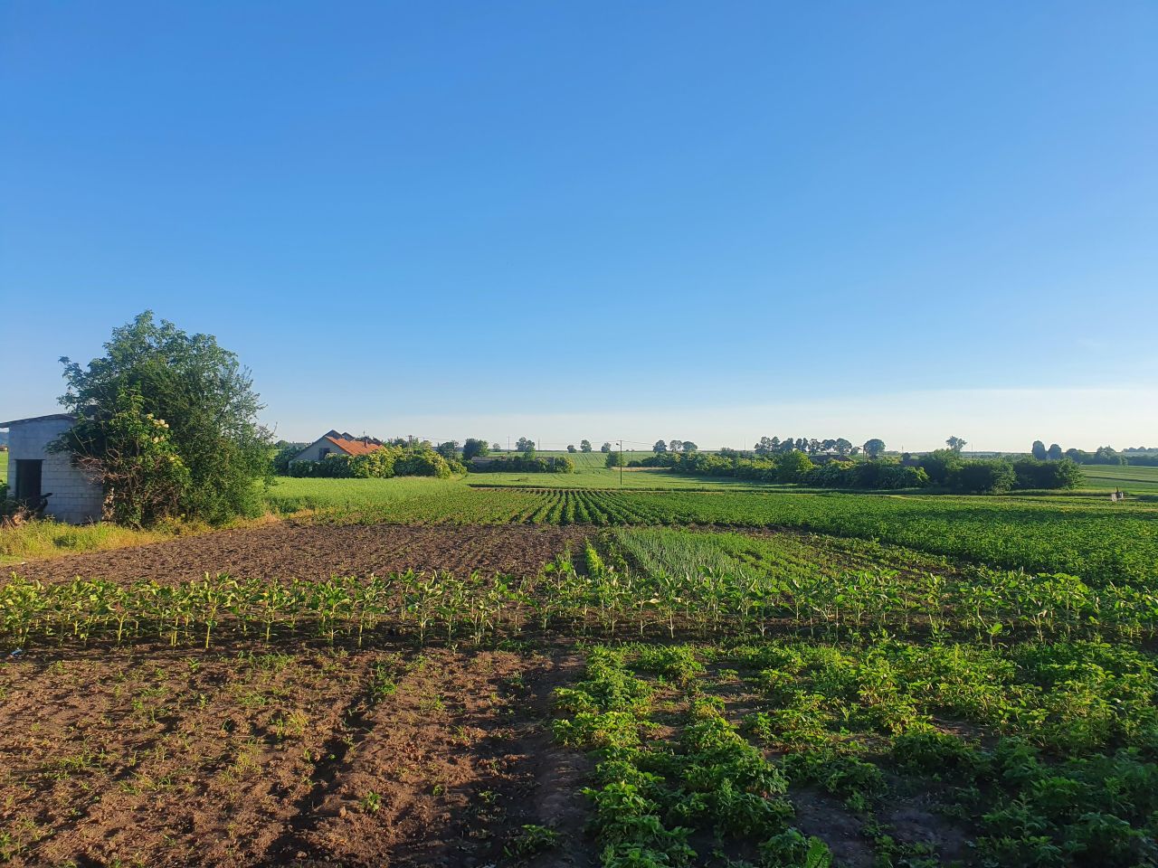 dom wolnostojący, 2 pokoje Wojsławice. Zdjęcie 10