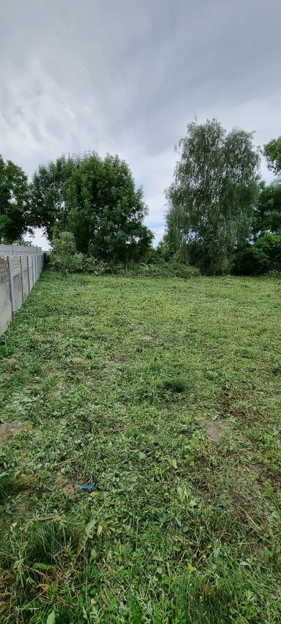 Działka rolna Wielenin. Zdjęcie 4